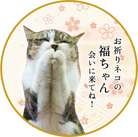 お祈りネコの福ちゃん会いに来てね!